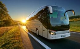 WhatsApp Image 2025-07-21 at 09.48.10